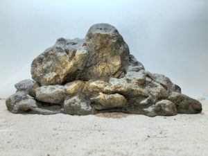 Raja Ampat Stone 11